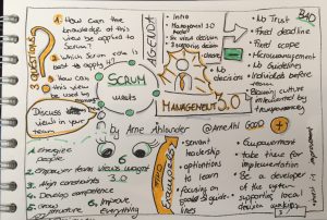 Agile & Management 3.0