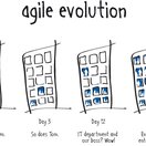 Artikel: Erfolg mit Agile Evolution