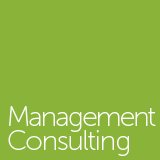 Management Consulting
