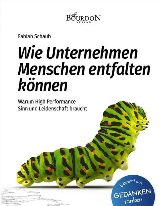 Buch von Fabian Schaub