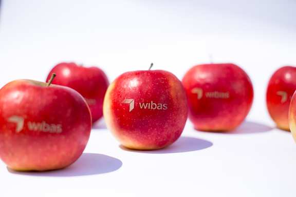 several apples on white background with wibas logo