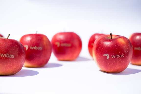mehrere rote Äpfel mit wibas Logo