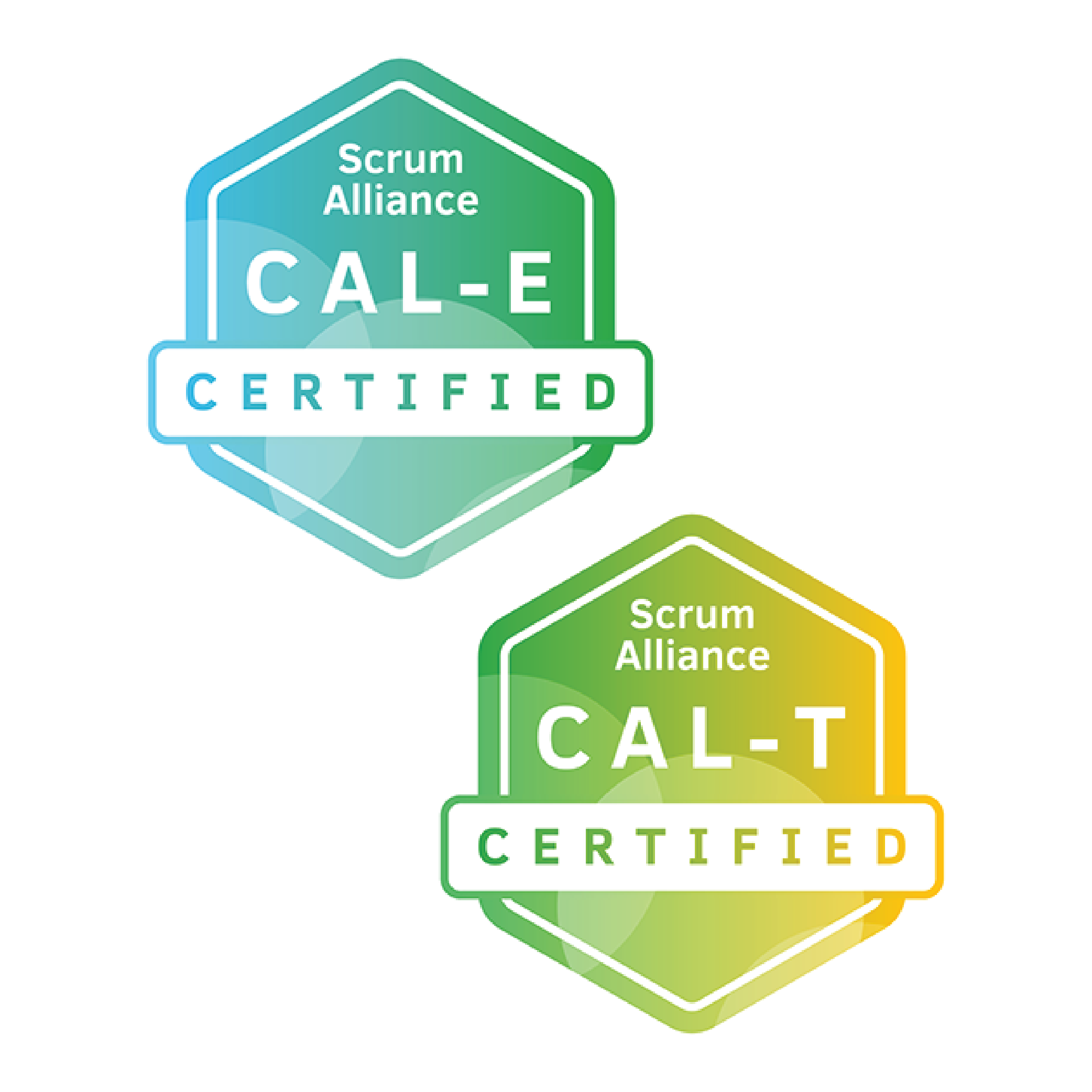 Scrum Alliance Badge für Certified Agile Leadership Essentials und Team