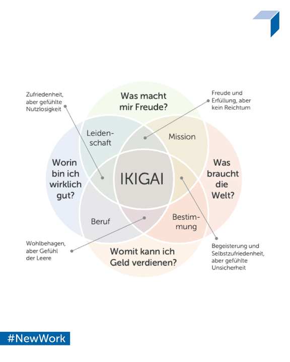 Ikigai-Schaubild
