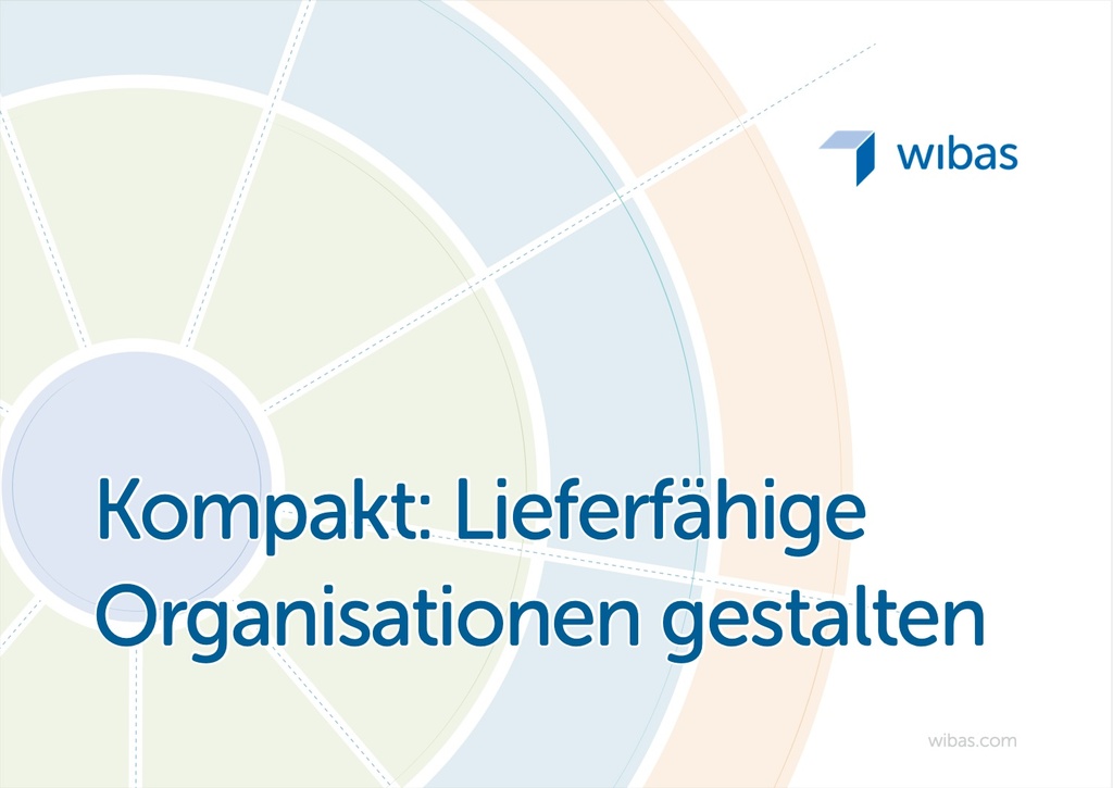 Kompakt: Lieferfähige Organisation gestalten