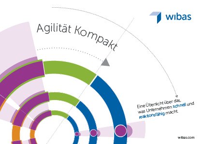 Agilität Kompakt (deutsch)